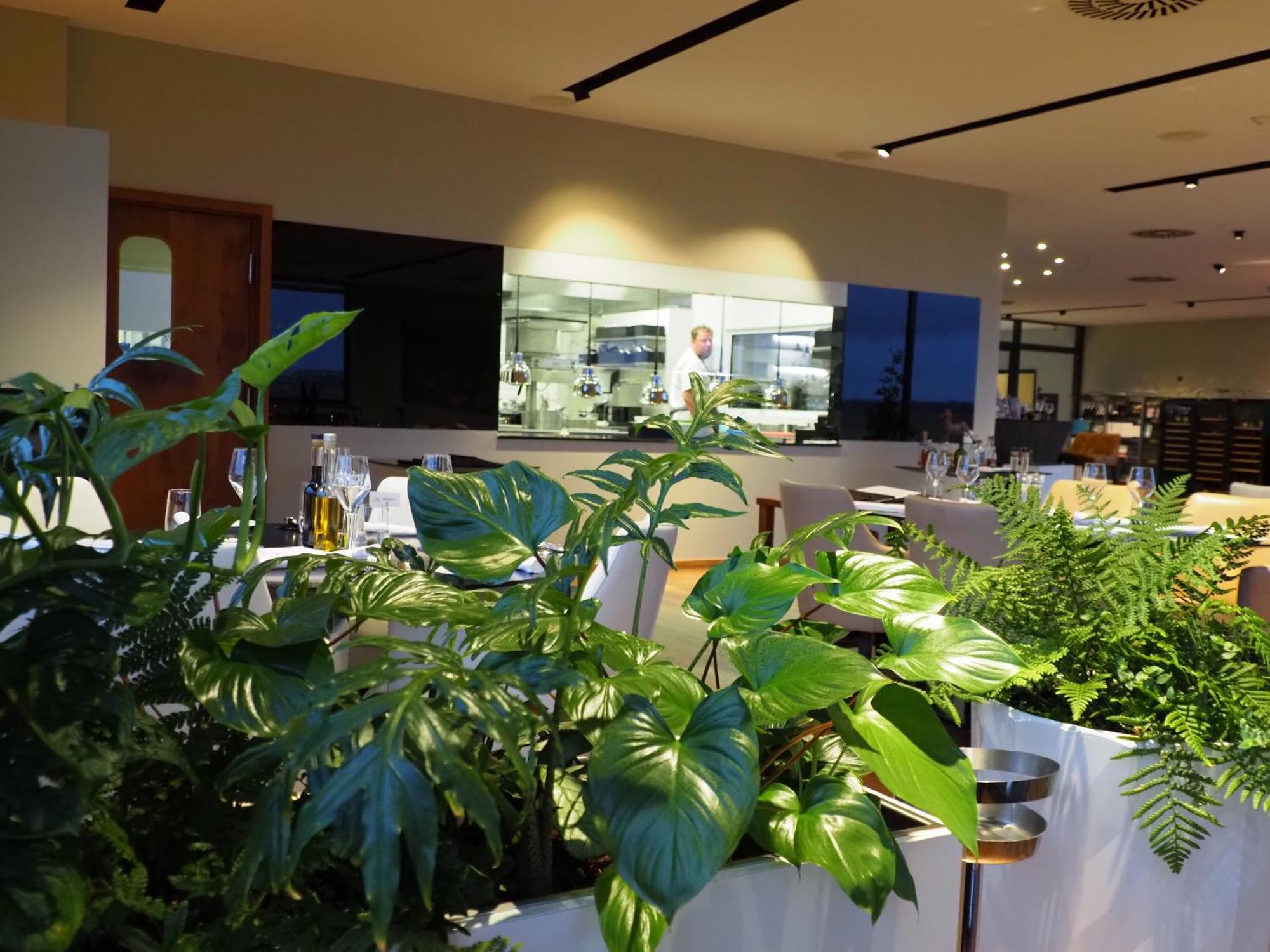 Mg Restaurace/Luxury Apartments Mladá Boleslav Екстериор снимка